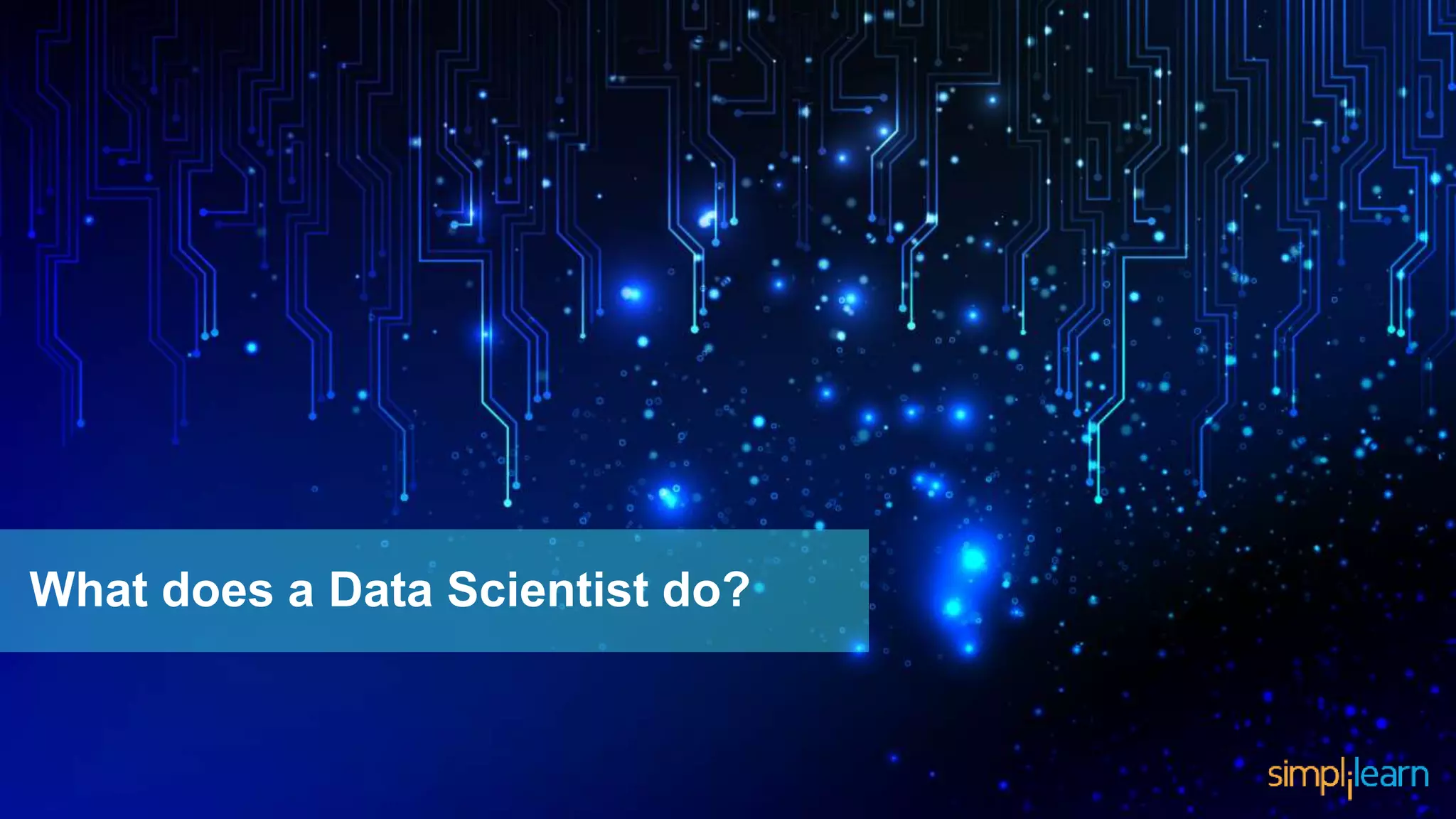 What does a Data Scientist do?
 