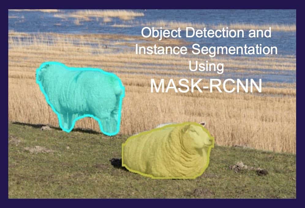 Instance Segmentation using Mask R-CNN